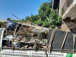 Best Demolition Debris Removal  in Eaton Rapids, MI