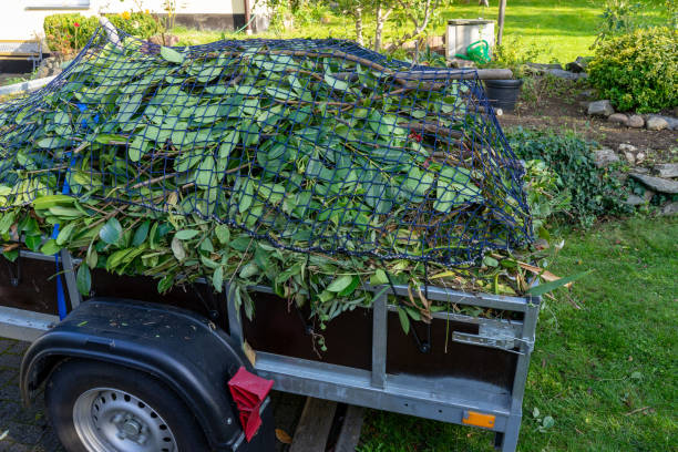 Best Shed Removal  in Eaton Rapids, MI